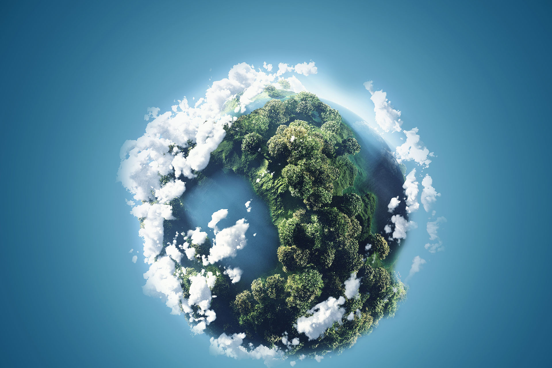 Hızır Çiçekçilik ve Organizasyon